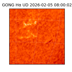 gong - 2026-02-05T08:00:02