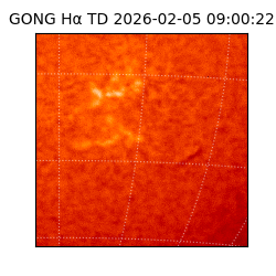 gong - 2026-02-05T09:00:22