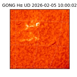 gong - 2026-02-05T10:00:02