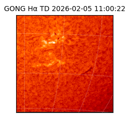 gong - 2026-02-05T11:00:22