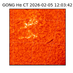 gong - 2026-02-05T12:03:42