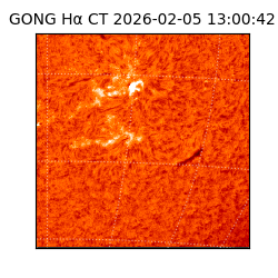 gong - 2026-02-05T13:00:42