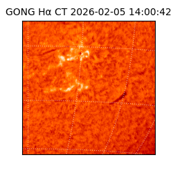 gong - 2026-02-05T14:00:42