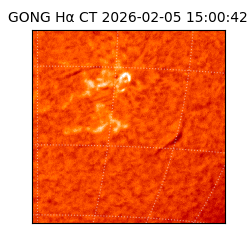 gong - 2026-02-05T15:00:42