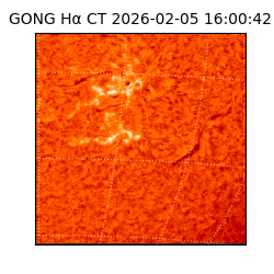 gong - 2026-02-05T16:00:42