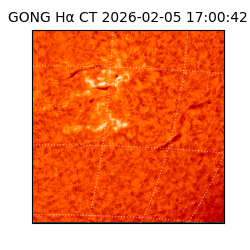 gong - 2026-02-05T17:00:42