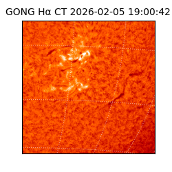 gong - 2026-02-05T19:00:42