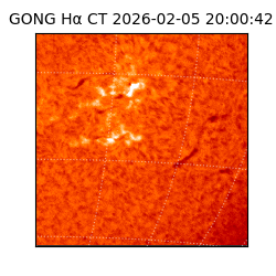 gong - 2026-02-05T20:00:42