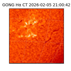 gong - 2026-02-05T21:00:42