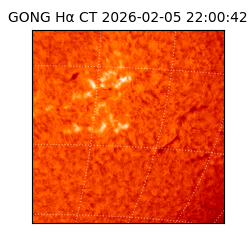 gong - 2026-02-05T22:00:42