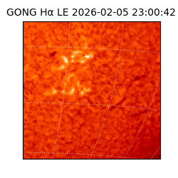 gong - 2026-02-05T23:00:42