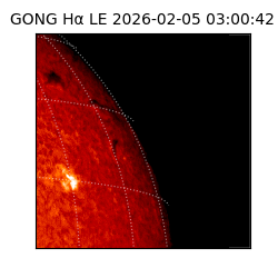 gong - 2026-02-05T03:00:42