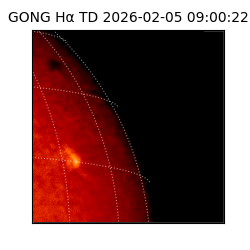 gong - 2026-02-05T09:00:22