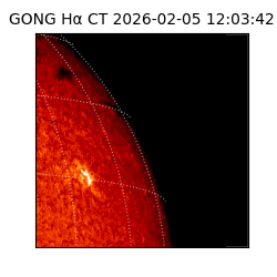 gong - 2026-02-05T12:03:42