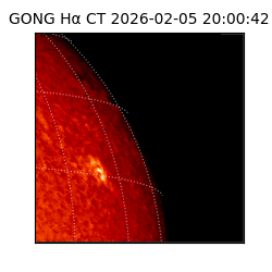 gong - 2026-02-05T20:00:42