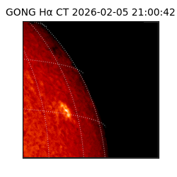 gong - 2026-02-05T21:00:42