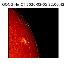 gong - 2026-02-05T22:00:42
