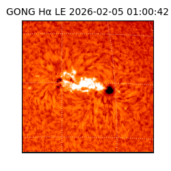 gong - 2026-02-05T01:00:42