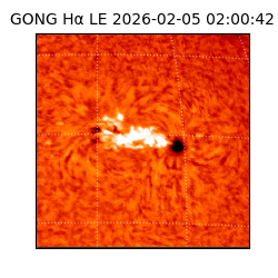 gong - 2026-02-05T02:00:42