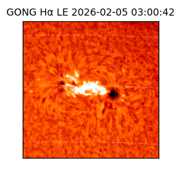 gong - 2026-02-05T03:00:42