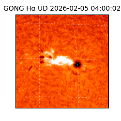 gong - 2026-02-05T04:00:02