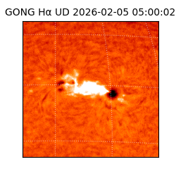 gong - 2026-02-05T05:00:02