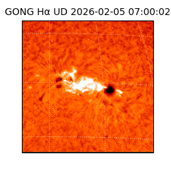gong - 2026-02-05T07:00:02