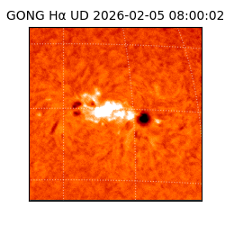 gong - 2026-02-05T08:00:02