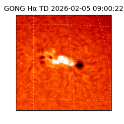 gong - 2026-02-05T09:00:22