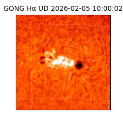 gong - 2026-02-05T10:00:02