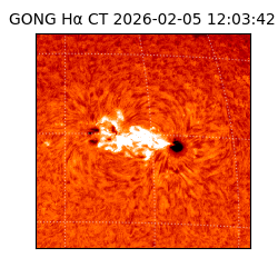 gong - 2026-02-05T12:03:42