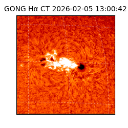 gong - 2026-02-05T13:00:42