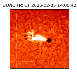 gong - 2026-02-05T14:00:42