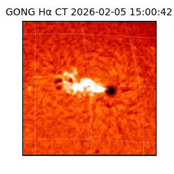 gong - 2026-02-05T15:00:42