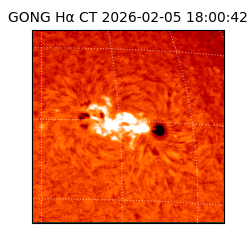 gong - 2026-02-05T18:00:42