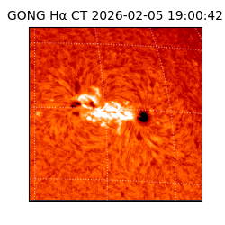 gong - 2026-02-05T19:00:42