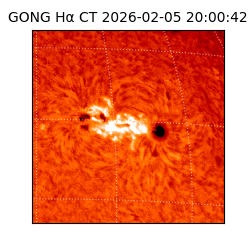gong - 2026-02-05T20:00:42