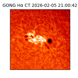 gong - 2026-02-05T21:00:42