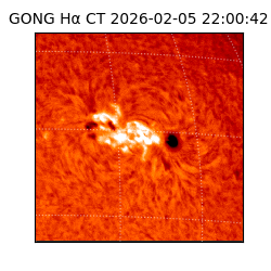 gong - 2026-02-05T22:00:42