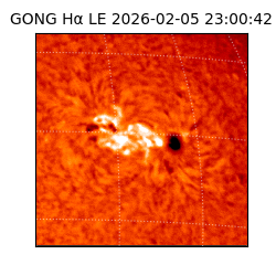 gong - 2026-02-05T23:00:42