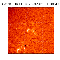 gong - 2026-02-05T01:00:42