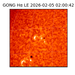 gong - 2026-02-05T02:00:42