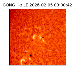 gong - 2026-02-05T03:00:42