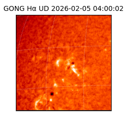 gong - 2026-02-05T04:00:02