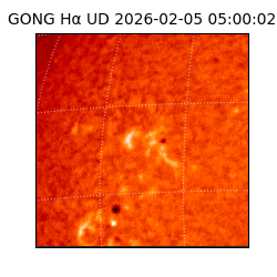 gong - 2026-02-05T05:00:02