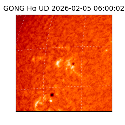 gong - 2026-02-05T06:00:02