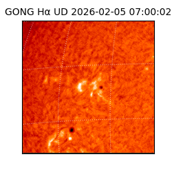 gong - 2026-02-05T07:00:02