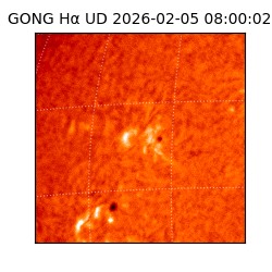 gong - 2026-02-05T08:00:02