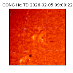 gong - 2026-02-05T09:00:22