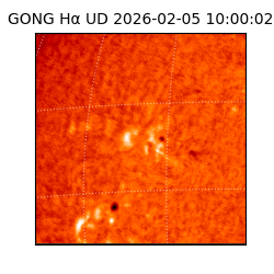 gong - 2026-02-05T10:00:02